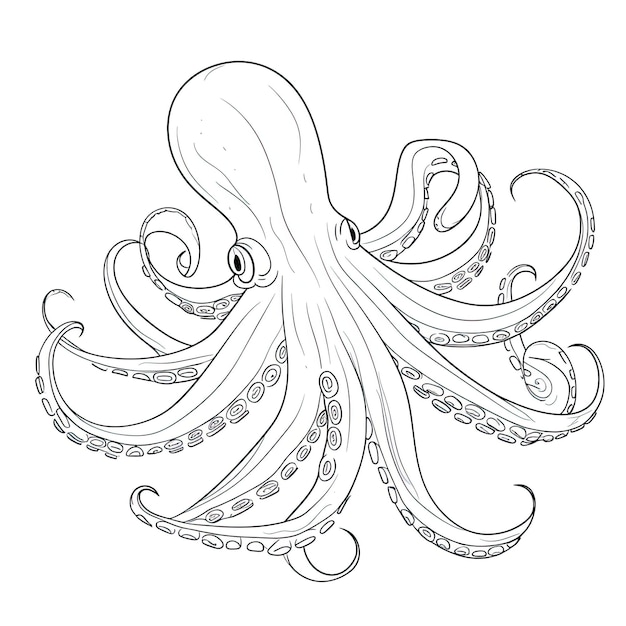 Immagine da colorare in bianco e nero di un calamaro