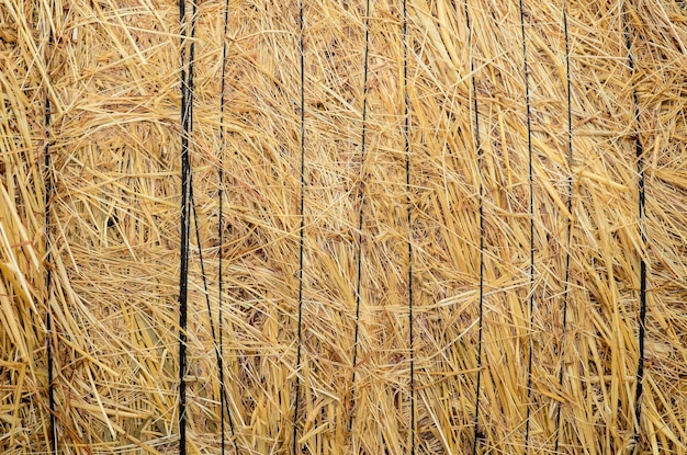 Immagine dei cenni storici di struttura del reticolo del fieno giallo essiccato