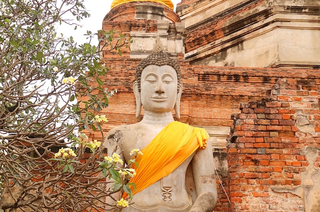 Immagine del Buddha davanti allo Stupa al tempio Wat Yai Chai Mongkhon ad Ayutthaya in Thailandia