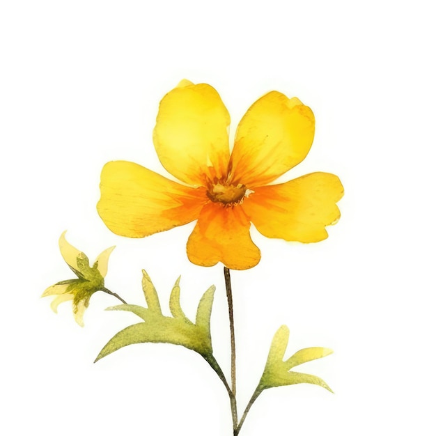 Immagine del fiore floreale dell'acquerello immagine di sfondo bianco Fiore dell'acquerello