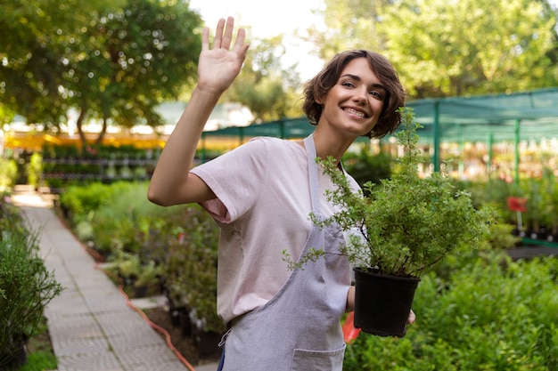 Immagine del giardiniere bella donna carina in piedi sopra le piante di fiori in serra che tengono le piante