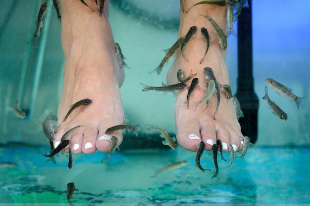 Immagine del massaggio dei piedi in un acquario con il primo piano dei pesci