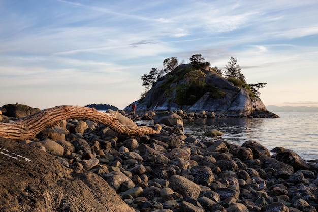 Immagine del paesaggio della natura dello sfondo del parco di Whytecliff