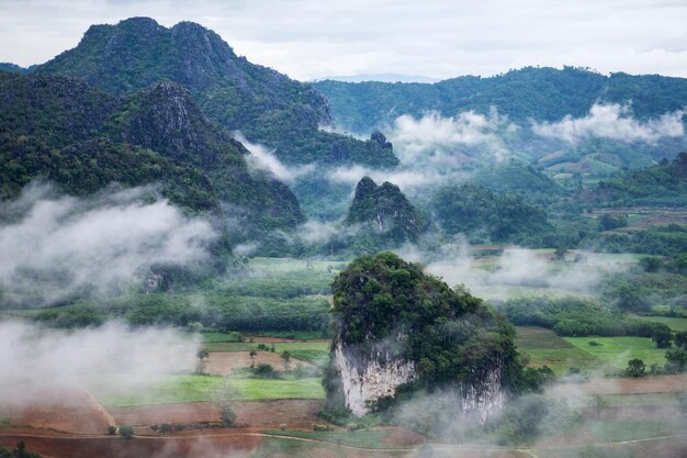 Immagine del paesaggio delle montagne e delle colline della foresta pluviale nebbiosa della vegetazione