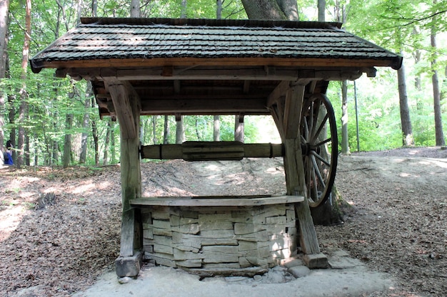 Immagine del pozzo artesiano nel villaggio ucraino della Transcarpazia