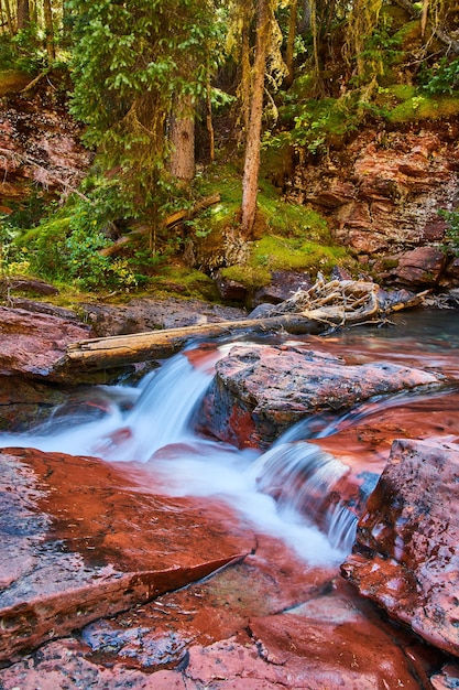 Immagine del primo piano di piccole cascate su rocce rosse con scogliere di muschio