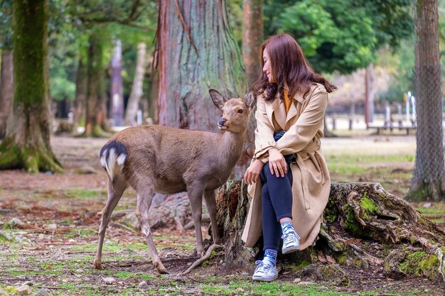 Immagine del primo piano di una donna asiatica che si siede e che gioca con un cervo selvatico nel parco
