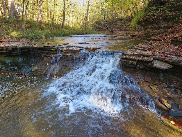 Immagine della cascata su rocce piatte nella foresta autunnale