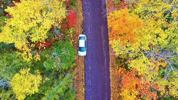 Immagine della foresta autunnale con un'auto bianca su una ripresa aerea di una strada asfaltata