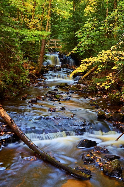 Immagine della foresta su entrambi i lati di un fiume con una cascata in lontananza e un vecchio ponte arrugginito su di esso e un tronco caduto