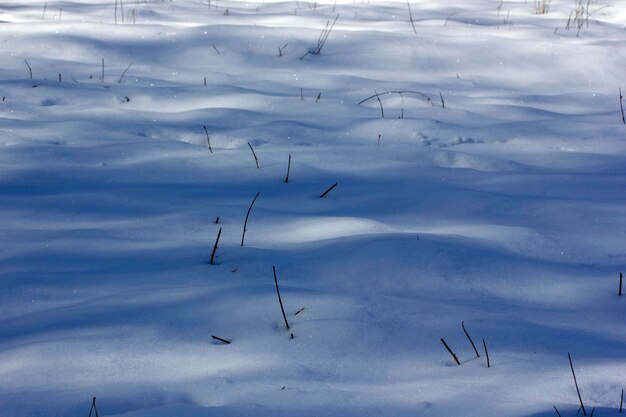 Immagine della natura di sfondo del mucchio di neve profonda