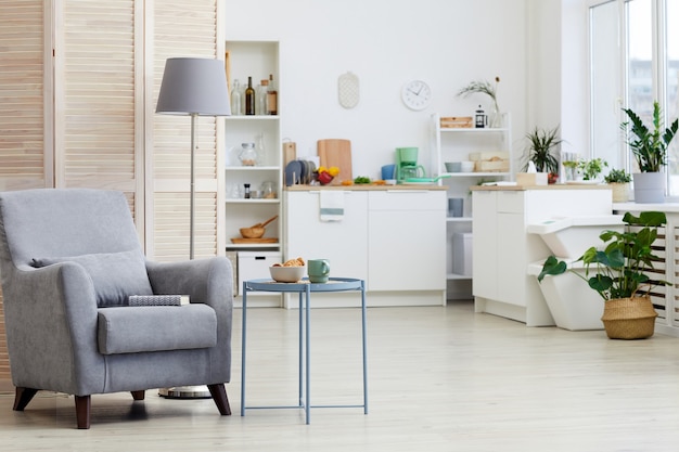 Immagine della poltrona moderna in piedi nel soggiorno con cucina bianca