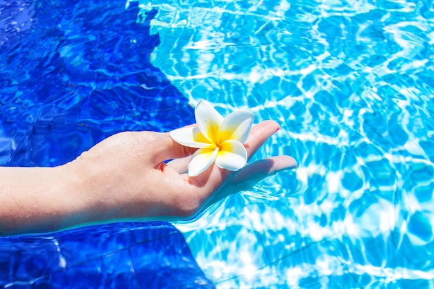 Immagine della spa con fiore di magnolia bianco e giallo stretto tra le dita