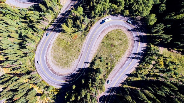 Immagine della strada che curva pesantemente giù per la montagna con alberi di pino