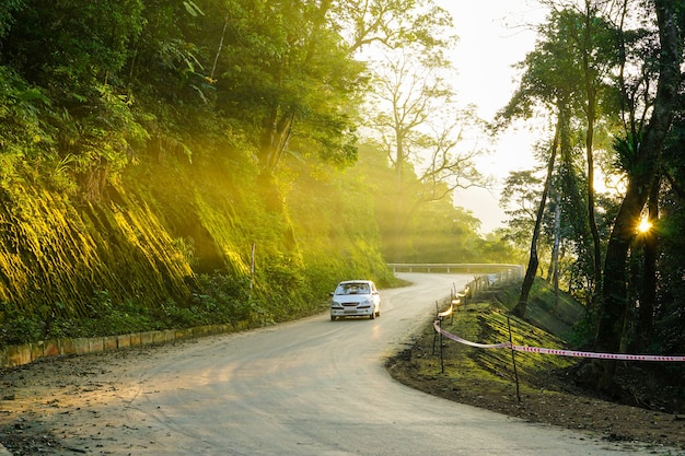 Immagine della strada di montagna di Ba Vi, i raggi del sole trapassano gli alberi, le auto corrono sulla strada