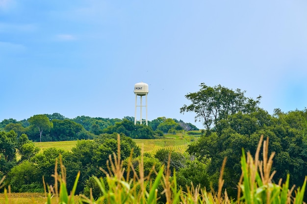 Immagine della torre dell'acqua con campi di mais e foresta