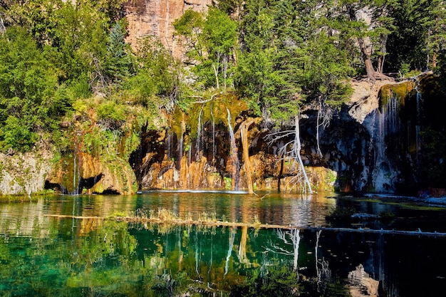 Immagine della vista delle cascate su rocce muscose con acqua verde acqua