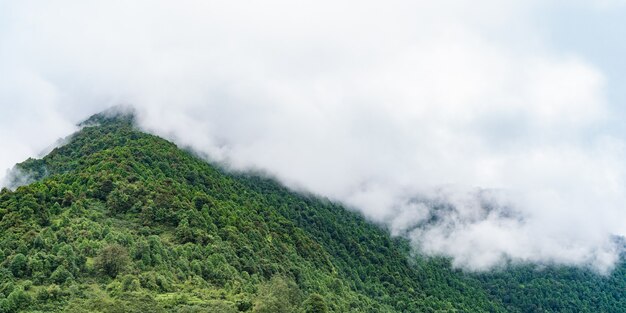 Immagine delle montagne dell'Himalaya coperte di nebbia. Verdi colline con foreste dietro le nuvole. Escursionismo, trekking in Nepal.