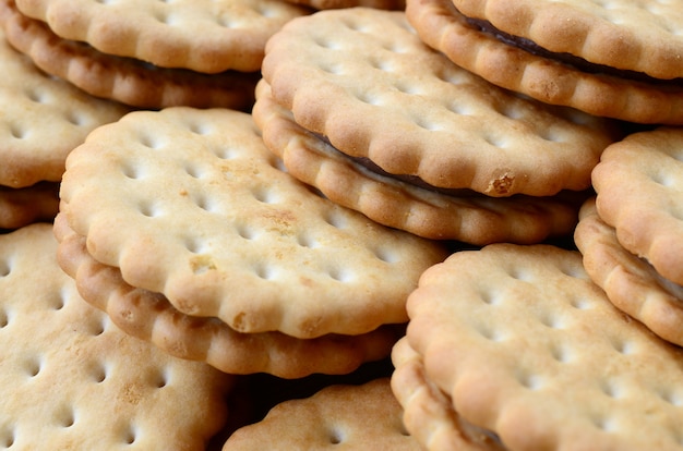 Immagine dettagliata di biscotti panini tondi con ripieno di cocco