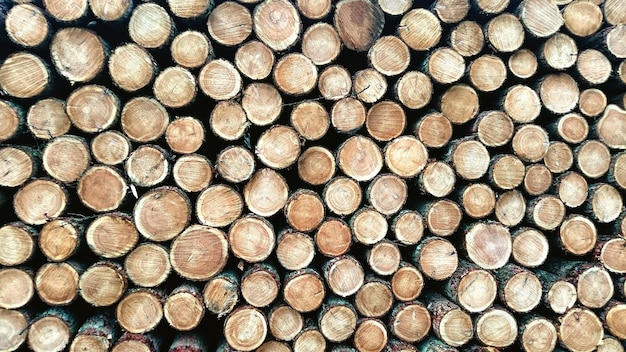 Immagine dettagliata di legna da ardere