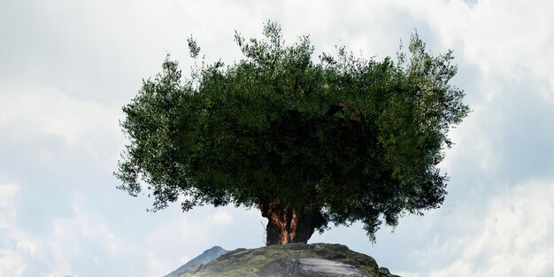 Immagine di albero e paesaggio