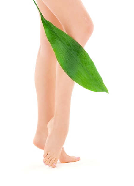 immagine di gambe femminili con foglia verde su bianco