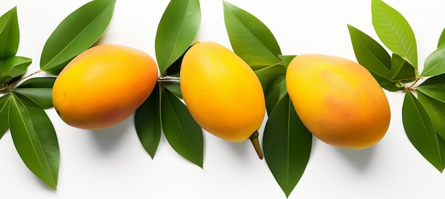immagine di mango con foglie su sfondo bianco pubblicità di mango