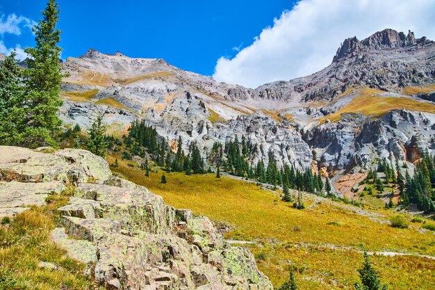 Immagine di rocce ricoperte di licheni con vista sulla bellissima catena montuosa ricoperta di rocce grigie e alberi di pino