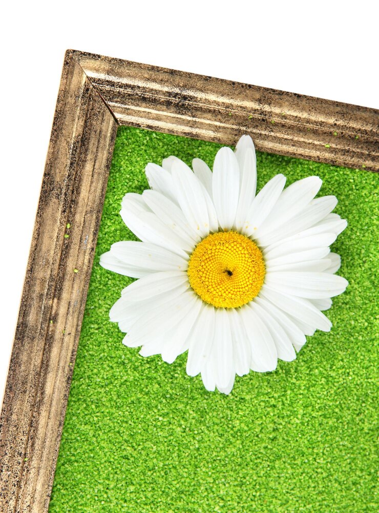 Foto immagine di sabbia decorativa colorata con fiori isolati su bianco