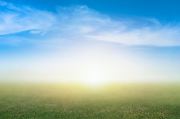 Immagine di sfondo sfocato della natura di sfocatura erba verde e sfondo blu del cielo