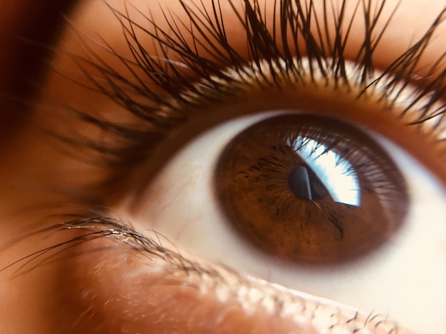 Immagine macro dell'occhio umano