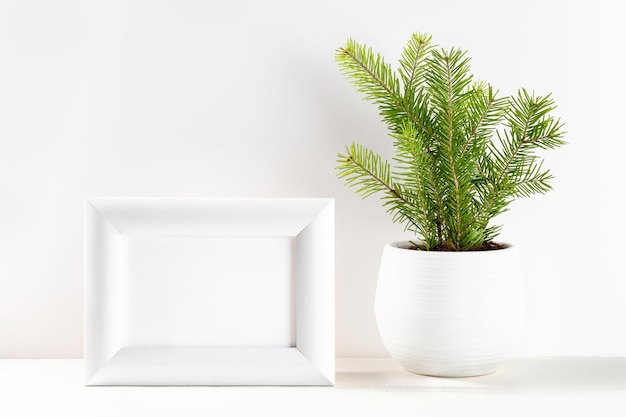 Immagine minima di Natale con un piccolo albero di Natale in vaso di fiori e cornice bianca su bianco. Copia spazio.