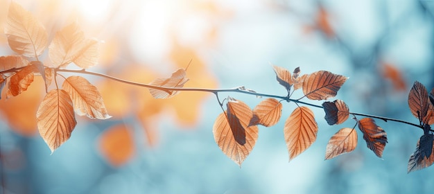 Immagine panoramica di un ramo in autunno Autunno colori stagionali Sfondo blu AI generativa