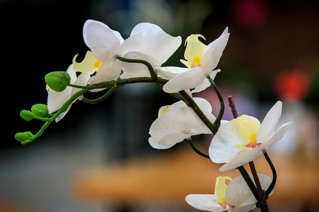 Immagine ravvicinata di un fiore artificiale