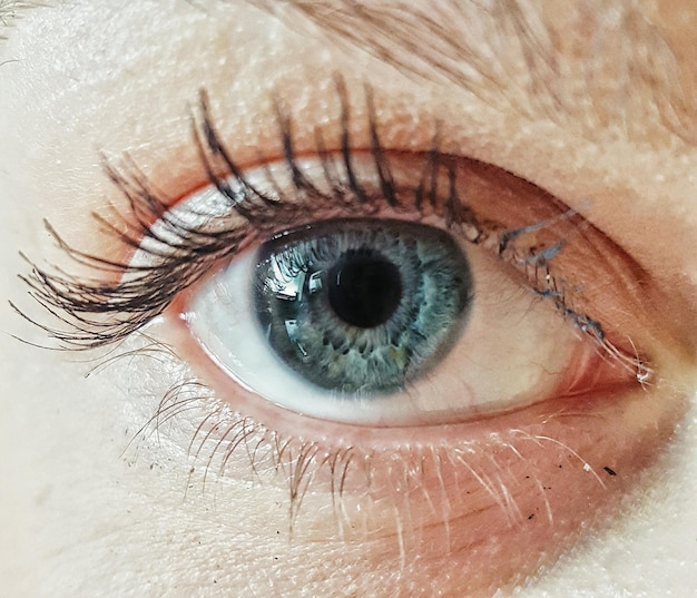 Immagine ritagliata dell'occhio di una persona