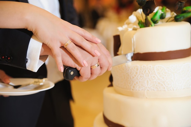 Immagine ritagliata della sposa e dello sposo che tagliano la torta nuziale