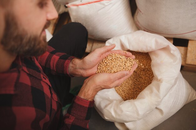 Immagine ritagliata di un birraio barbuto con semi d'orzo, che lavora nella sua fabbrica di birra
