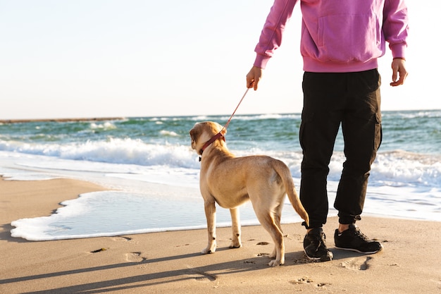 Immagine ritagliata di un uomo che cammina sulla spiaggia con il suo cane