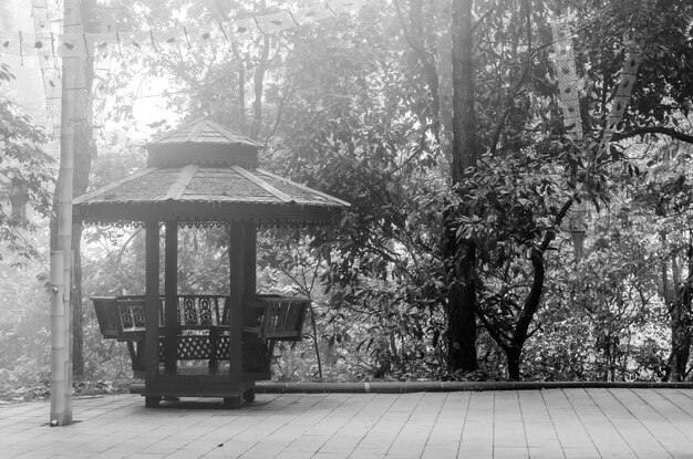 Immagine sfocata in bianco e nero della sedia di legno in giardino