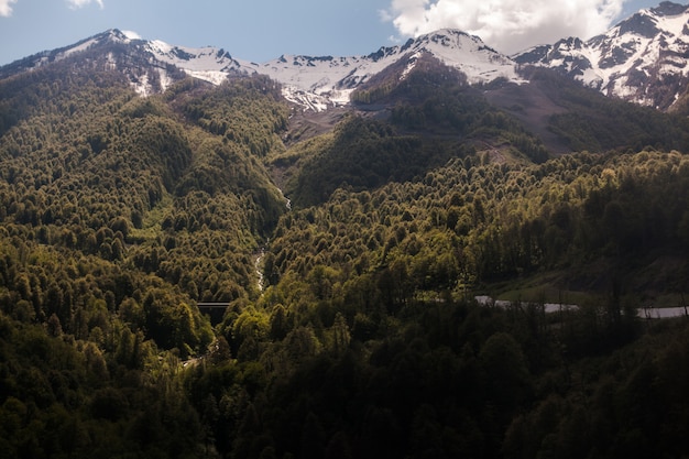 Immagine stupefacente del paesaggio verde della montagna con cielo blu e le nuvole bianche