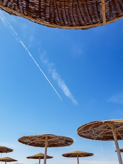 Immagine tonica di sagome di ombrelloni sulla spiaggia dell'oceano contro il cielo blu e il cielo luminoso