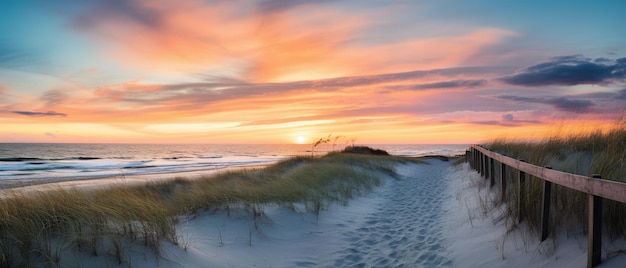 Immagine ultra larga che mostra un sentiero sulla spiaggia e la scansione dell'orizzonte durante l'alba