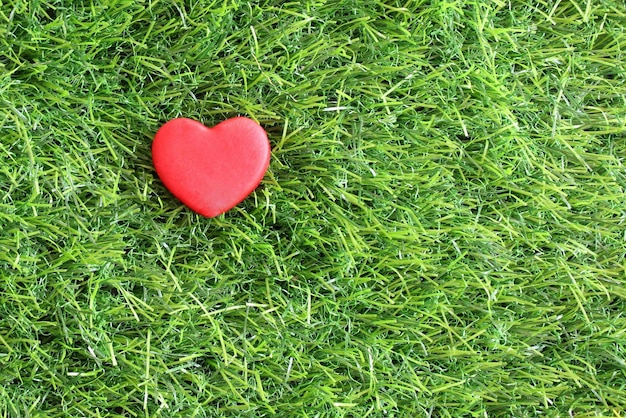 Immagine vista dall'alto del cuore rosso su erba verde con spazio per la copia del testo
