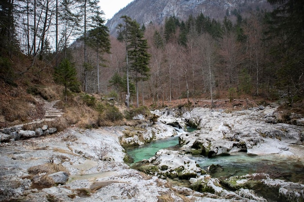 Immagini da Bled, Slovenia, in autunno e in inverno