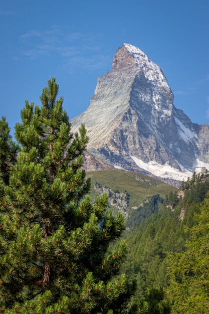 Immagini della città e della montagna di Zermat