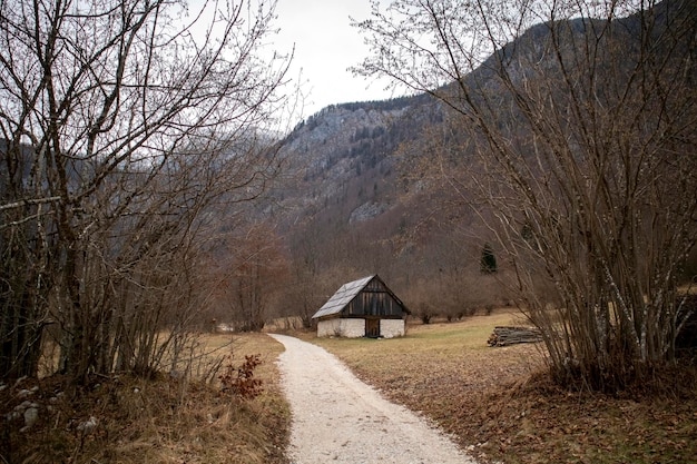 Immagini di Bled, in Slovenia, in autunno e in inverno