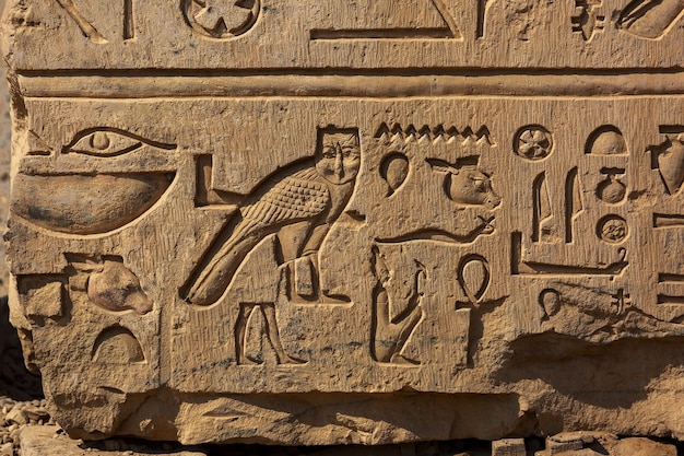 Immagini e geroglifici dell'antico Egitto