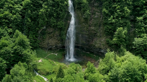 Immergiti nella bellezza mozzafiato di questa splendida foto della natura della cascata