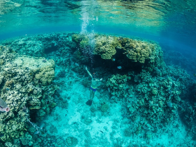 Immersione del giovane alla barriera corallina variopinta in Mar Rosso