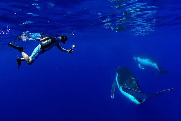 Immersioni subacquee con la megattera nella Polinesia francese di Moorea